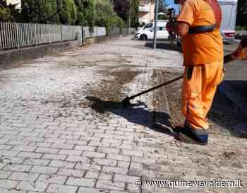 Taglio erba e gestione piante, "Nuovo servizio" - Qui News Valdera