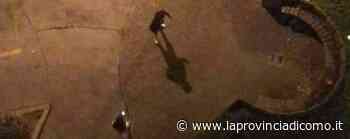 Erba, il lancio delle bottiglie di notte L'ultima follia in piazza Stazione - La Provincia di Como