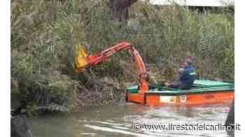 Fiume Reno, taglio dell’erba per sicurezza - il Resto del Carlino
