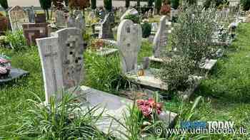 Degrado al cimitero di Paderno, tombe tra erba alta, insetti e topi - UdineToday