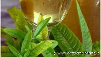 Concorso Erba luigia: iscrizioni aperte - Gazzetta di Parma