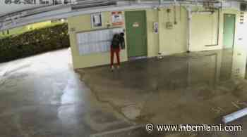 Residents Frustrated After Mail Stolen From Boxes at Miami Beach Condo