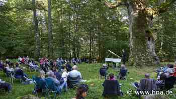 Magisches Waldkonzert mit Stephan Hohlweg an der Hammundeseiche - HNA.de