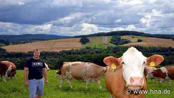 Regionale Produkte sind in Pandemiezeiten besonders gefragt - HNA.de