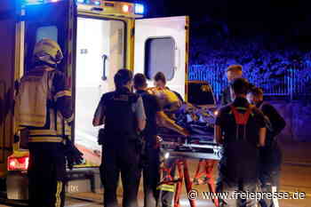 Passanten retten Rentner aus Schlossteich - Freie Presse