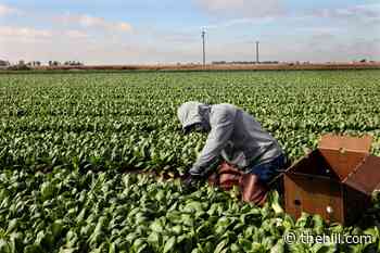 USDA to provide $700M in COVID-19 relief for food and farm workers