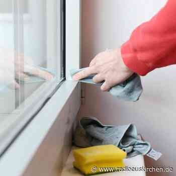 Scheinazubi muss wie ein Ungelernter entlohnt werden - radioeuskirchen.de