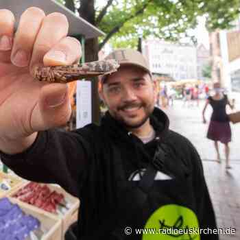 Zu Tisch, die Heuschrecken sind fertig - radioeuskirchen.de