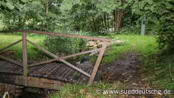 So werden EU-Gelder im Landkreis Dachau genutzt - Süddeutsche Zeitung