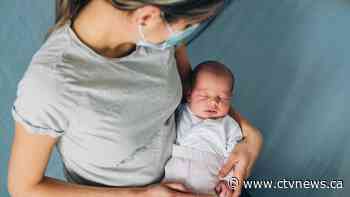 Post-mRNA vaccine antibodies in breast milk raises protective potential for babies, and possibly adults