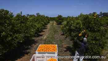 Retired soldiers helping with NSW harvest - Gloucester Advocate