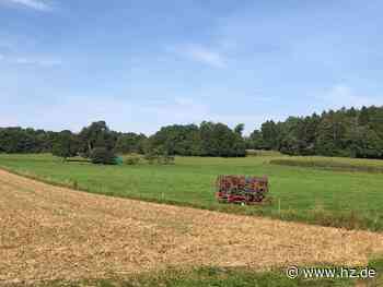 Pflanzaktion beim Hasenloch: Das steckt hinter der Idee des Bürgerwäldles für Giengen - Heidenheimer Zeitung
