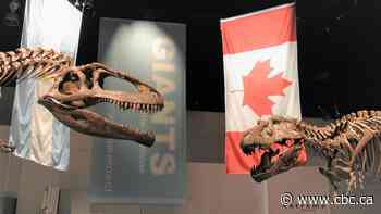 Newly discovered dinosaur predated tyrannosaurs — and at the time was a bigger apex predator