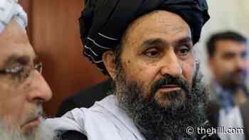 State Dept. voices concerns over all-male Taliban government