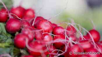 Master Gardener: The joys of fall vegetable gardens, and tips on planting garlic - Tulsa World