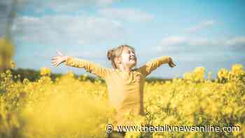 Master Gardener: Goldenrod is a late-summer favorite - The Daily News Online
