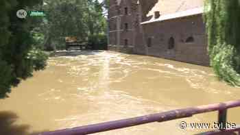 Stad Halen wil extra wachtbekkens om extreme wateroverlast te voorkomen - TV Limburg