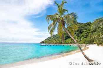 Europese banken halen 20 miljard euro winst uit belastingparadijzen - Trends