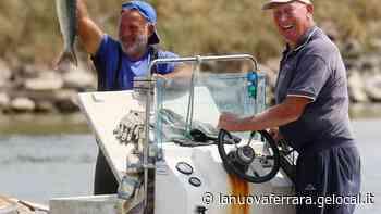 I pescatori gettano le reti Stop al fermo, si torna in mare - La Nuova Ferrara