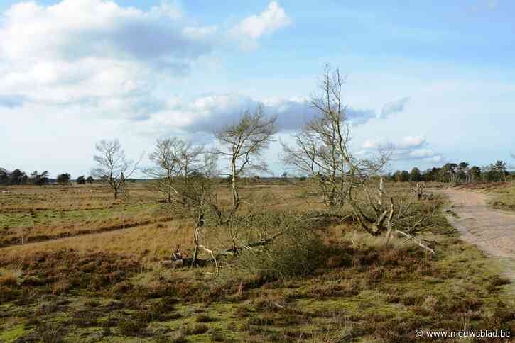 Kalmthoutse Heide wil Nationaal Park worden, maar buurgemeente is daar niet blij mee