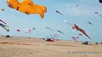 WATCH:  Kites fill the sky at popular festival