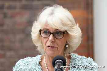 Camilla to support Nigeria's first sexual assault referral centre - Barrhead News