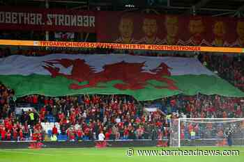 New South Asian fans' group ready to roar on Wales - Barrhead News