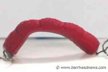 Scientists develop stretchy robot worms - Barrhead News