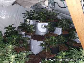 Police raid cannabis grow in Pensnett | Dudley News - Dudley News