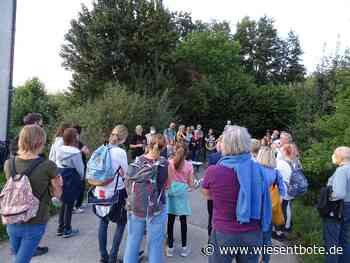 Neunkirchen (Landkreis Forchheim): Fledermäuse – lautlose Jäger der Nacht am Samstag 11.09.21 - Der Neue Wiesentbote