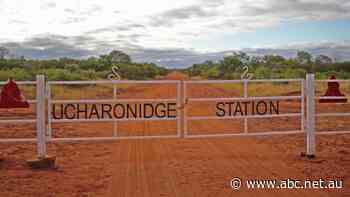 Large cotton plans for the Barkly Tablelands under review by EPA