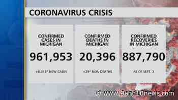 Michigan Health Officials Report 6313 Coronavirus Cases, 29 Deaths - 9 & 10 News - 9&10 News