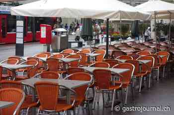 Gastgewerbe legt im zweiten Quartal mächtig zu - GastroJournal