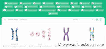 Bioicons, un lugar para descargar ilustraciones e iconos científicos con licencias libres - Microsiervos