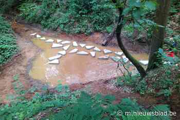 Stapstenen helpen wandelaars op Hoge Weg - Het Nieuwsblad
