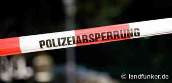 Bruchsal | Betrunkener Lastwagenfahrer verursacht hohen Sachschaden bei mehreren Unfällen - Landfunker