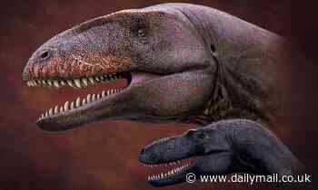 Newly discovered dinosaur with shark-like teeth predated T.Rex by 7 million years