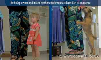 Dogs really ARE man's best friend! Pups have a special attachment to their owner's VOICE