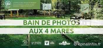 Bain de photos au sentier des Quatre mares dans les Vosges - Epinal infos - Epinal Infos