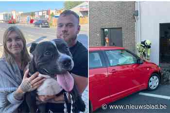 Auto rijdt huis binnen, hond kan nipt ontkomen: “We waren superhard geschrokken”