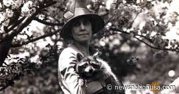 All the presidents’ pets: Calvin Coolidge’s White House raccoon - News Nation USA