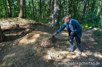 Landkreis Bamberg: Mountainbiker werden immer mehr und auch die illegalen Trails - Fränkischer Tag