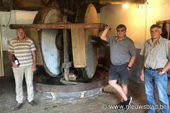 Slagmolen uit 1465 draait weer: “We willen van olierosmolen toeristische trekpleister maken”
