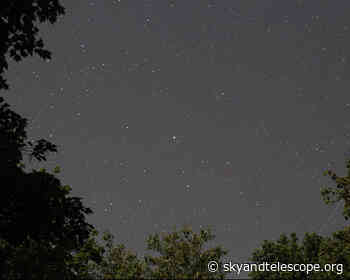 The Pandemic and Light Pollution