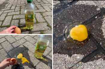 Frying an egg on a hot pavement - here's what happens