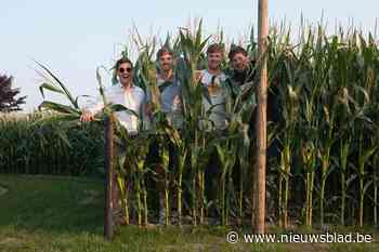 Ville en Vert is tweedaags muziekfeest: “Voor het eerst een échte rave cave in de maïs”