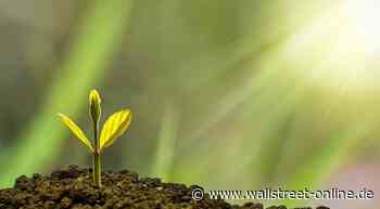 Greenwashing nein danke: Lassen Sie sich nicht grün anschmieren! Saubere Rendite mit ESG-Fonds & -ETFs