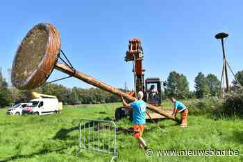 Ooievaars kunnen voortaan naast de Schelde wonen