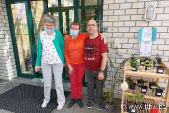 Dagcentrum 't Weyerke opent plantenbib in Beringen (Beringen) - Het Belang van Limburg Mobile - Het Belang van Limburg