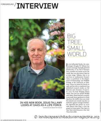 BIG TREE, SMALL WORLD - Landscape Architecture Magazine